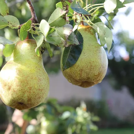 Montgolfiere 4 Personnes Vakantiehuis Châtellerault