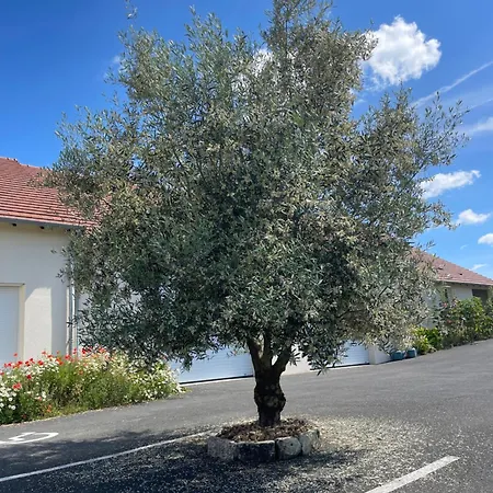 Vakantiehuis Montgolfiere 4 Personnes Châtellerault