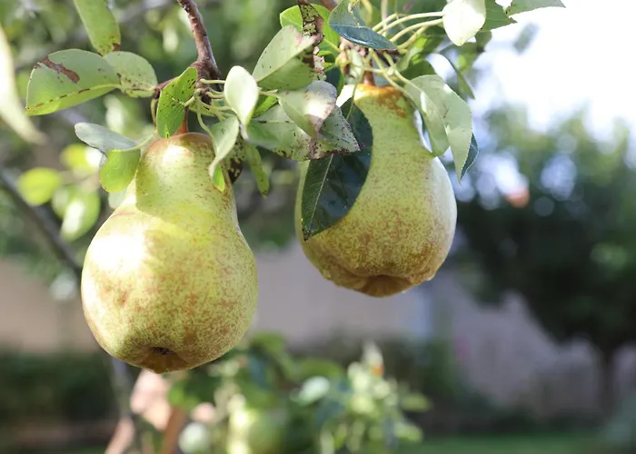 Montgolfiere 4 Personnes Сasa de vacaciones Châtellerault