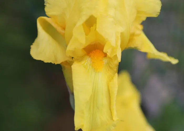 Montgolfiere 4 Personnes Châtellerault