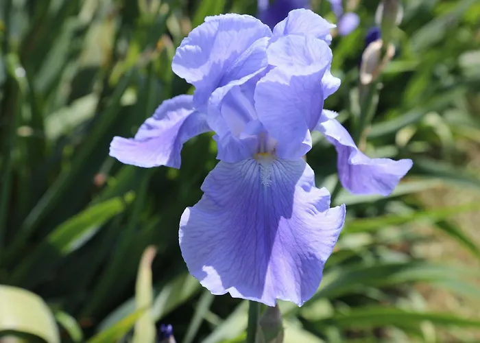 Montgolfiere 4 Personnes