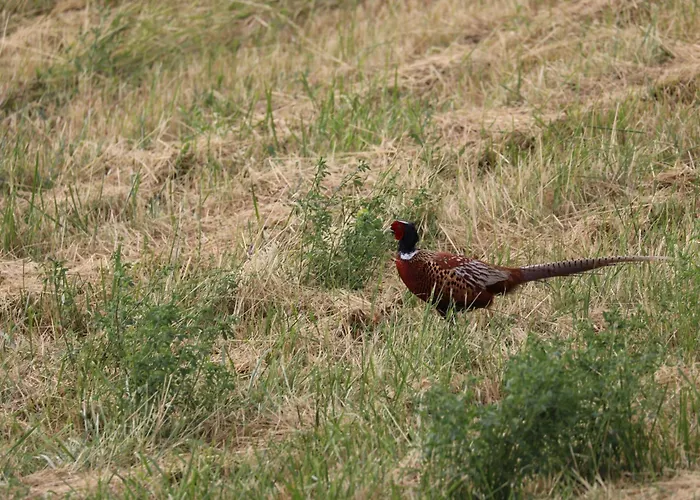 Montgolfiere 4 Personnes Сasa de vacaciones *