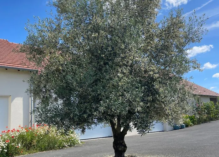Сasa de vacaciones Montgolfiere 4 Personnes Châtellerault